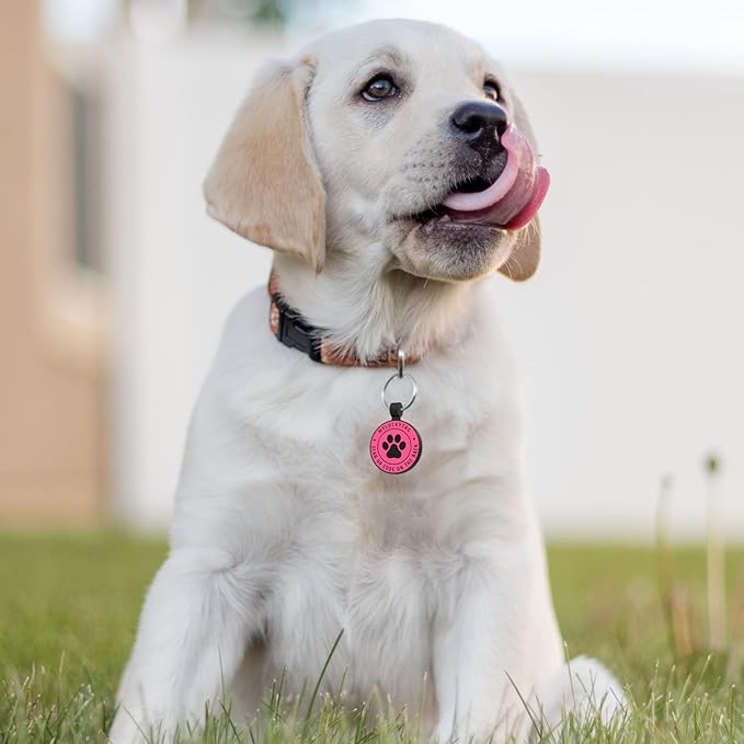 MYLUCKYTAG QR Code Silicone Pet ID Tag for Dogs and Cats - Online Profile, Location Alert Email, Digital and Quiet Tag, Durable Collar ID, Engraved