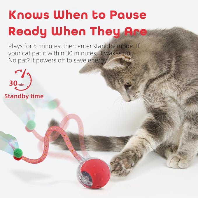 2Pack Interactive Cat Toys Ball for Indoor Cats with Elastic Mesh Net Tails – 3 Working Modes for Agile Movement, Motion Activated, USB-C Rechargeable, Ideal for Indoor Cats (Red)