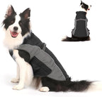 Warm Dog Winter Coat, Gimilife Dog Cold Weather Coats Waterproof Apparel Clothes Pet Jacket Padded Vest Outfit for Small Medium Large Dogs (Gray, XS (4-7 LB | 10.23" Neck Girth))