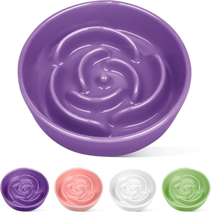 TRUVIC Ceramic Slow Feeder Dog Bowls Small Breed, 0.6 Cup Slow Feeder Cat Bowls for Fast Eaters, Ceramic Dog Food Dish no Black Chin, Puzzle Bowl for Small Dogs and Cats, Purple