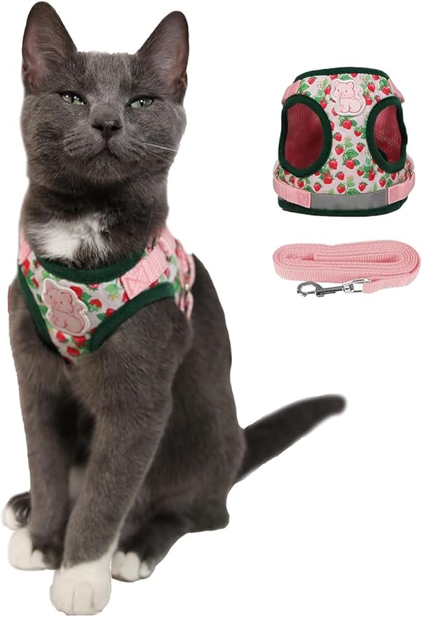 Travel Cat Strawberry Shortcake Harness & Leash Set - Adjustable Fit Mesh Cat Harness with Reflective Strap - Harness for Cats, Kittens for Outdoor (Strawberry Shortcake, X-Small-Kittens Only)