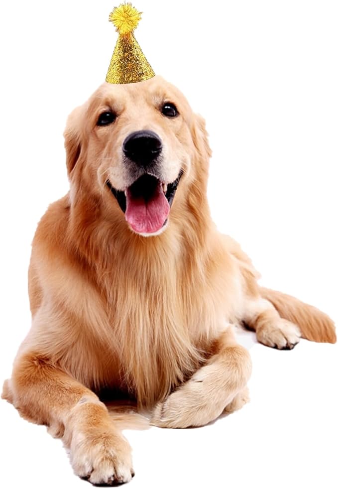 10 Pcs Dog Birthday Hat Set for Small Medium Dogs Cat Puppies, Mini Party Hat with Adjustable Headbands, Cute Pet Hat with Pompons for Birthday Christmas Party Decoration Accessories (Large 5 Inch)