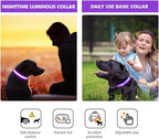 MASBRILL Light Up Dog Collar - LED Dog Collar Rechargeable Waterproof Night Walking Glow Collar for Dogs (M, Purple)