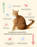 Freeze-Dried Cat Food, 97% Animal Origin Soft Dry Food for Cats Kitten, High Protein Healthy Freeze Dried Cats Raw Treat & Topper (Rabbit Recipe - 2.1 Ounce)