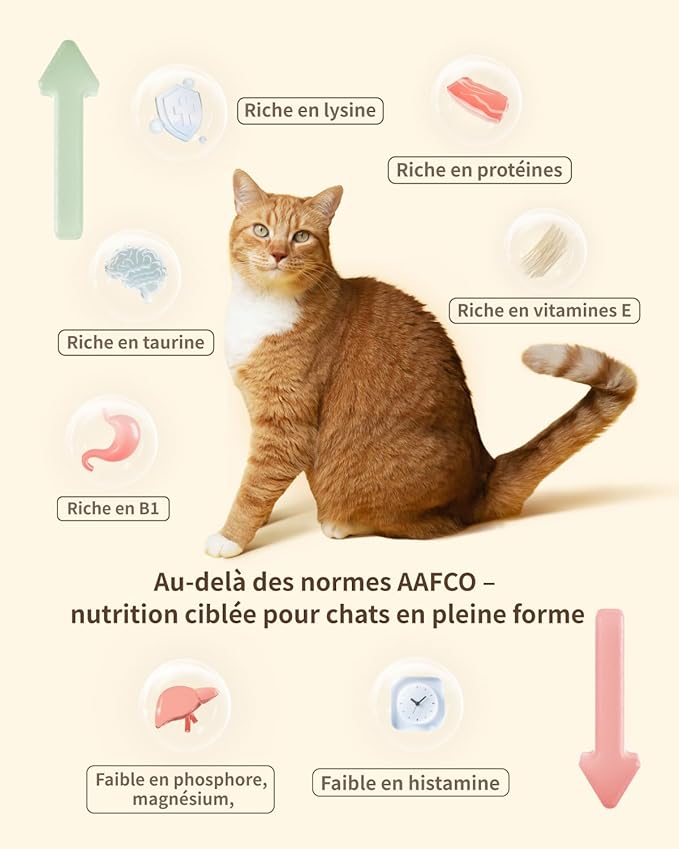 Freeze-Dried Cat Food, 97% Animal Origin Soft Dry Raw Food for Cats, High Protein Healthy Freeze Dried Cat Treat & Topper (Beef Recipe - 2.1 Ounce)