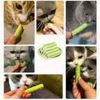 Cat Grass Teething Sticks for Hairball Removal & Teeth Cleaning, Chicken Flavored, Natural Dental Treats for Indoor Cats