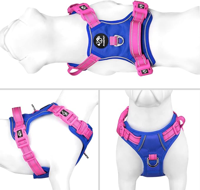 PHOEPET No Pull Dog Harness, Unique Colors Reflective Adjustable Dog Vest, with Soft Training Handle Metal Clips for Small Medium Large Dogs (Royal Blue Base & Pink Straps,XL)