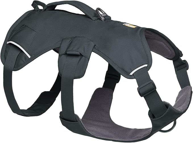 Ruffwear, Web Master, Multi-Use Support Dog Harness, Hiking and Trail Running, Service and Working, Everyday Wear, Basalt Gray, XX-Small