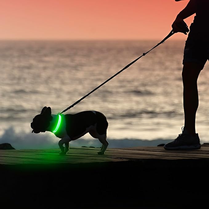 Illumifun Light Up Dog Collar, USB Rechargeable LED Dog Collar, Reflective Flash Pet Lighted Collar for Nighttime Walking (GreenⅢ, Large)