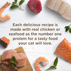 Rachael Ray Nutrish Premium Wet Cat Food, Chicken Lovers Variety Pack, Grain Free, 2.8 Oz. Tub, Pack Of 12