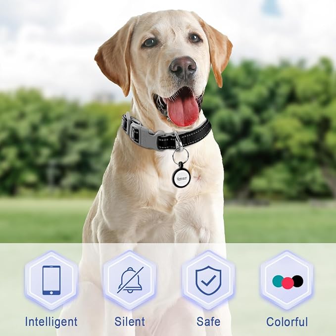 Dog Tags Personalized,QR Code Smart Pet ID Name Tag,Instant Location Alerts,Easy Online Profile Updates,No Fees,No Apps,Anti-Lost,Waterproof Silicone Dog Cat Tag for Small,Medium,Large Dogs(Black)