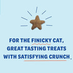 Shameless Pets Celebration Birthday Crunchy Cat Treats Chicken and Catnip Treats with Digestive Support