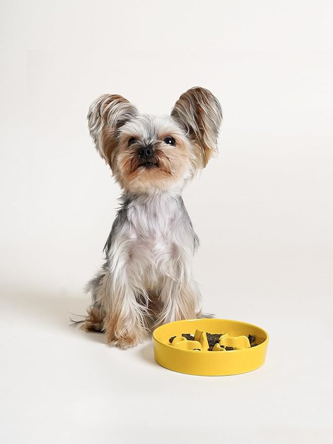 Ceramic Slow Feeder Dog Bowls Small Breed, 0.5 Cups Dog Food Dish for Fast Eaters, Puzzle Bowl for Small Dogs and Cats, 5.5 Inch-Yellow