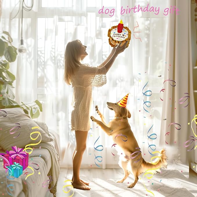 Birthday Squeaky crinkly Cake Aggressive chew for pups Sandwiches Pizza Party Dog Toy Colorful Playset to Keep Your Furry Friend Busy with 3 Pack Gift Toys