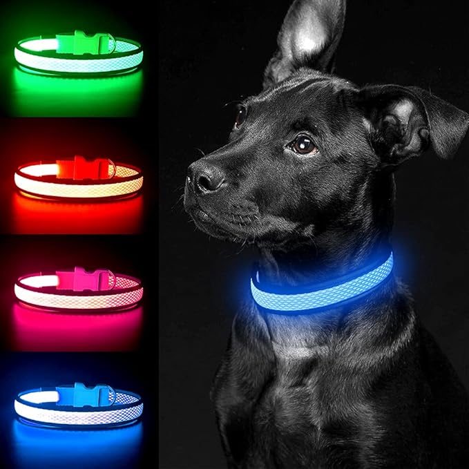 YFbrite Light up Dog Collar, USB Rechargeable LED Puppy Collar Super Bright Adjustable Glowing Dog Lights for Night Walking (Blue, Large)