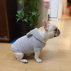 Easter Dog & Cat Outfit - Bunny Ears Hoodies, Fleece Puppy Clothes, Warm Dog Sweatshirt & Cat Costume (Large, Grey)