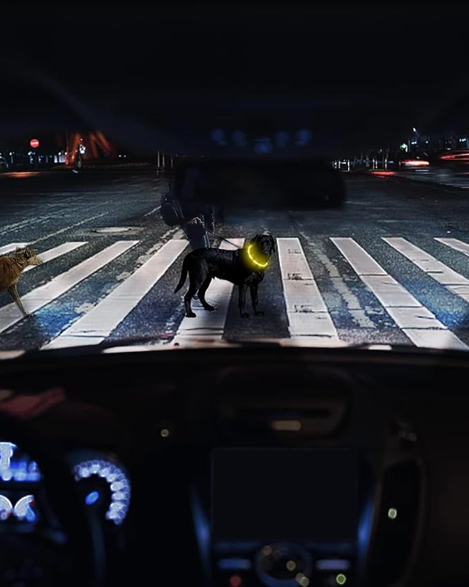 Joytale Light Up Dog Collar, Rechargeable Rainproof LED Collar for Night Walking Safety, Soft Silicone Glow in The Dark, Suitable for Small Medium Large Dogs, Yellow