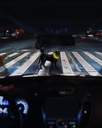 Joytale Light Up Dog Collar, Rechargeable Rainproof LED Collar for Night Walking Safety, Soft Silicone Glow in The Dark, Suitable for Small Medium Large Dogs, Yellow