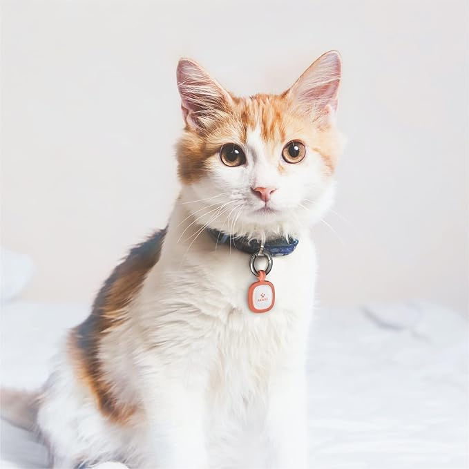 Pawaii QR Code Dog ID Tag, Silent Silicone Tag, Modifiable Pet Online Profile, Free Emergency Contact, Scan QR for Instant Pet Location Alert Email, 1Pack (Sky Blue)