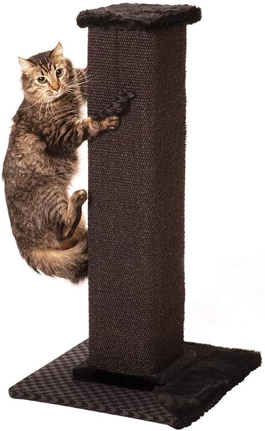 Max & Marlow Cat Scratch Post 32" | Tall Cat Scratcher Post with Sisal Rope | Features Hanging Ball Toy | Great for All Indoor Cat Breeds & Sizes