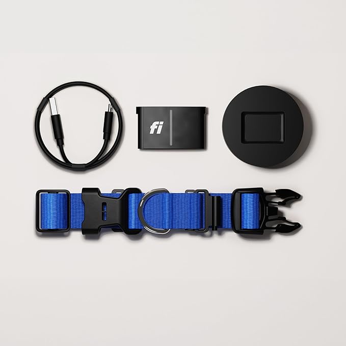 Fi Series 3+ Smart Dog Collar - GPS Dog Tracker and Activity & Fitness Monitor, Waterproof, LED Light, Escape Alerts, Nationwide Coverage [Free 6 Month Membership] (Blue, Medium)