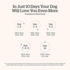 Now Fresh Grain-Free Small Breed Senior Dry Dog Food with Turkey, Salmon & Duck, Premium Kibble Made with Real Meat & Fish, Chicken-Free, Added Glucosamine & Chondroitin for Healthy Joints, 22 lb Bag