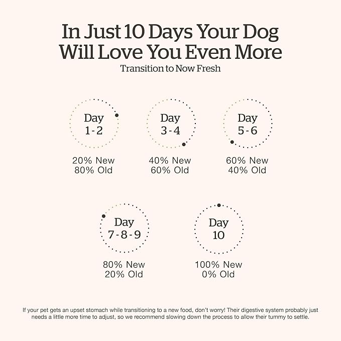 Now Fresh Grain-Free Small Breed Dry Dog Food with Turkey, Salmon & Duck, Healthy Kibble for Adults Made with Real Meat & Fish, Chicken-Free Recipe, Pumpkin & Probiotics for Good Digestion, 6 lb Bag