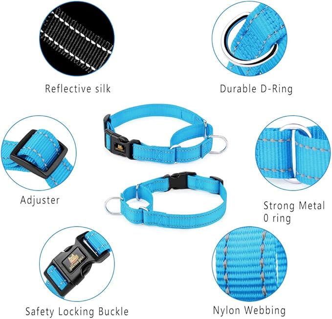 PLUTUS PET Reflective Martingale Collar with Quick Snap Buckle,No Pull Dog Choker Collar for Small Medium Large Dogs,XS,Blue