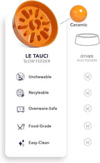 LE TAUCI Dog Bowls Slow Feeder Ceramic, 1.5 Cups Slow Feeding Dog Bowl Small Medium Breed, Puppy Bowl for Fast Eaters, Sun Orange