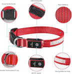 MASBRILL LED Dog Collar - Light Up, Rechargeable, Waterproof, Glow Collar for Small to Large Dogs