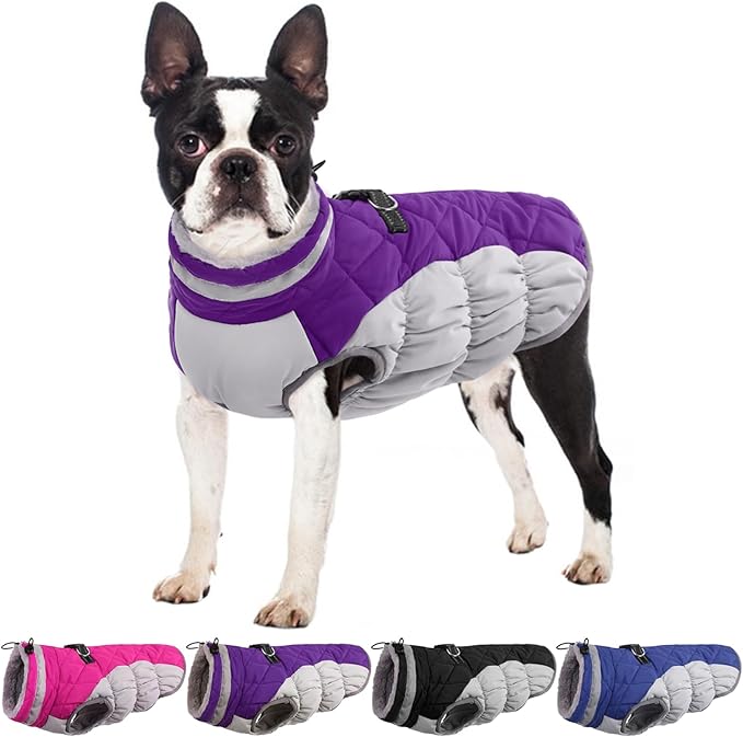 Dog Winter Jacket Cozy Reflective Waterproof Windproof Warm Pet Garment,Comfortable Cold Weather Fleece Apparel Outfits with Zipper Closure for Small Medium Large Dogs Puppy Walking,X-Small