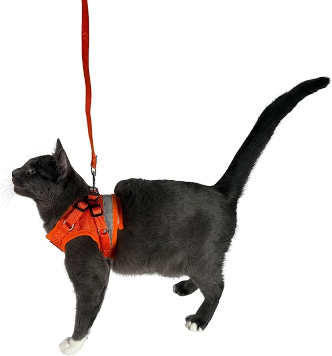 Travel Cat Harness and Leash Set - Adjustable Fit Mesh Cat Harness and Reflective Strap - Comfort Walking Vest for Kitten for Outdoor Walking, Hiking (Extra Small, Orange)