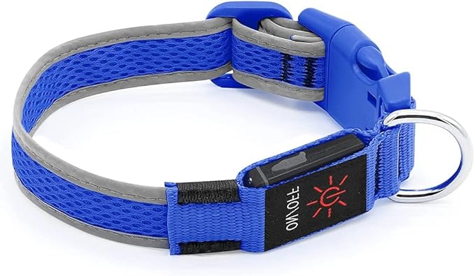 YFbrite Light up Dog Collar, USB Rechargeable LED Puppy Collar Super Bright Adjustable Glowing Dog Lights for Night Walking (Blue, Medium)