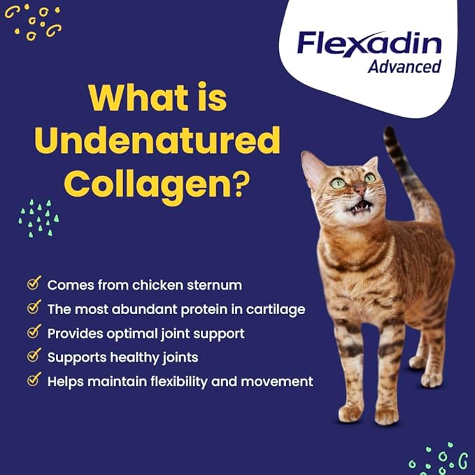 Vetoquinol Flexadin Advanced Dog Hip and Joint Supplement with Undenatured Collagen, One Chew a Day Hip and Joint Support Chew for Dogs and Cats, Clinically Proven Vet-Approved Formula, 30 Chews