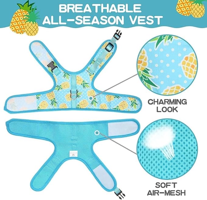 BINGPET Cat Harness - Mesh Cat Dog Walking Harness with Leash - Adjustable Cat Vest Harness for Kittens and Puppies - Pineapple