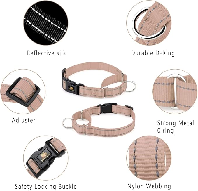 Plutus Pet Reflective Martingale Collar with Buckle - Durable and Adjustable Training Collar for No Pulling, Dog Choker Collar for Small Medium Large Dogs, Beige, XS