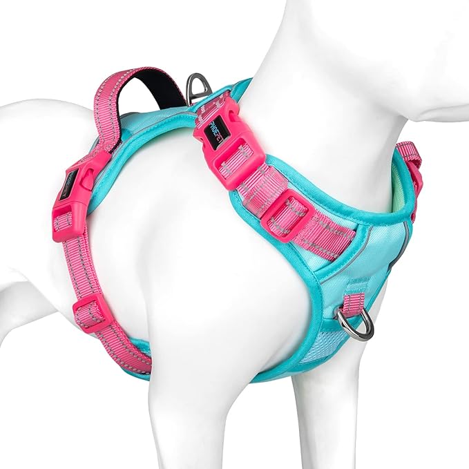 PHOEPET No Pull Dog Harness, Unique Colors Reflective Adjustable Dog Vest, with Soft Training Handle Metal Clips for Small Medium Large Dogs (Mint Green Base & Pink Straps,XS)