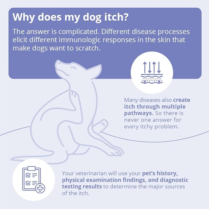 MiconaHex+Triz Spray for Dogs, Cats and Horses, 16 fl oz