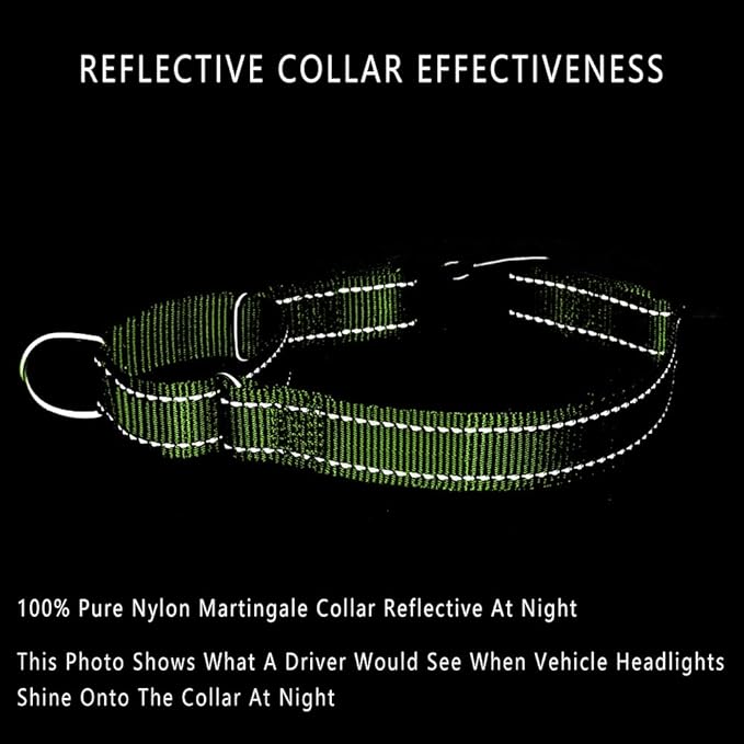 Plutus Pet Reflective Martingale Collar with Buckle - Durable and Adjustable Training Collar for No Pulling, Dog Choker Collar for Small Medium Large Dogs, Bright Green, XS