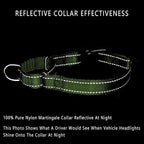 Plutus Pet Reflective Martingale Collar with Buckle - Durable and Adjustable Training Collar for No Pulling, Dog Choker Collar for Small Medium Large Dogs, Bright Green, S