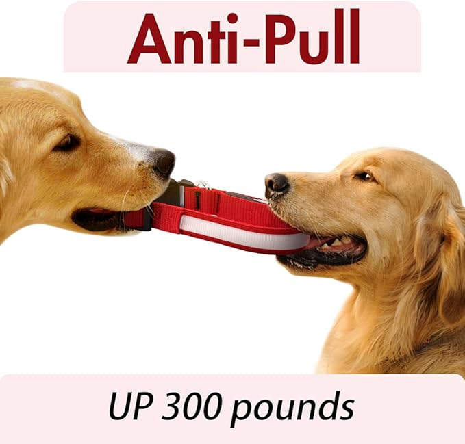 YFbrite Ultra Light Adjustable LED Dog Collar, Light up Dog Collars Rechargeable Glowing in The Dark Collars Visiblity & Safety for Small, Medium, Large Dogs (Red, Small)