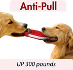 YFbrite Ultra Light Adjustable LED Dog Collar, Light up Dog Collars Rechargeable Glowing in The Dark Collars Visiblity & Safety for Small, Medium, Large Dogs (Red, Small)