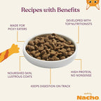 Made by Nacho Dry Cat Kibble 4lb Bag, High Protein and Grain-Friendly Premium Cat Food, Sustainably Caught Salmon and Pumpkin, Infused with Bone Broth for Hydration, Limited Ingredients, Single Bag