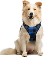 rabbitgoo Dog Harness No Pull with 2 Leash Clips, Adjustable Soft Padded, Reflective Oxford No Choke Pet Vest with Easy Control Handle for Medium Sized Dogs, Blue Plaid, M
