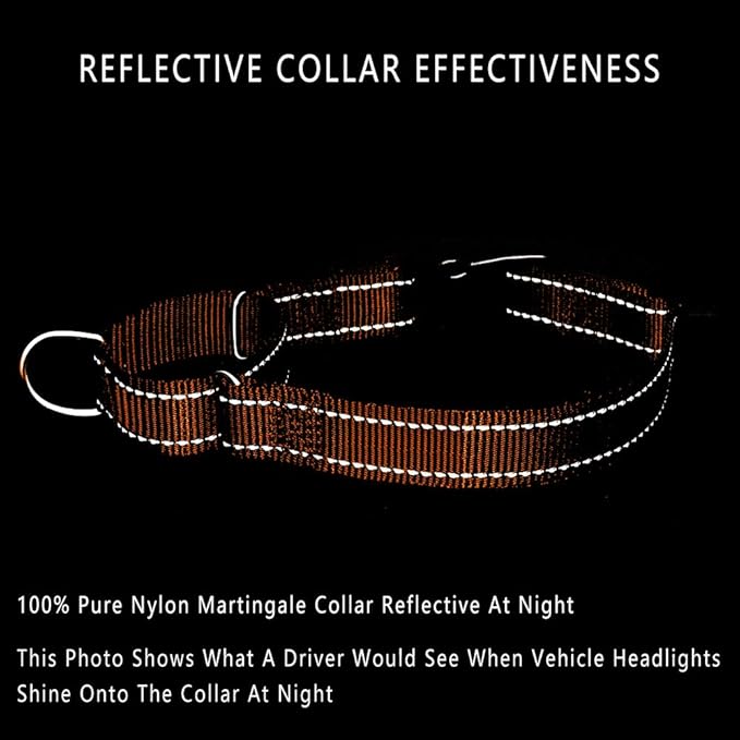 PLUTUS PET Reflective Martingale Collar with Quick Snap Buckle,No Pull Dog Choker Collar for Small Medium Large Dogs,L,Orange