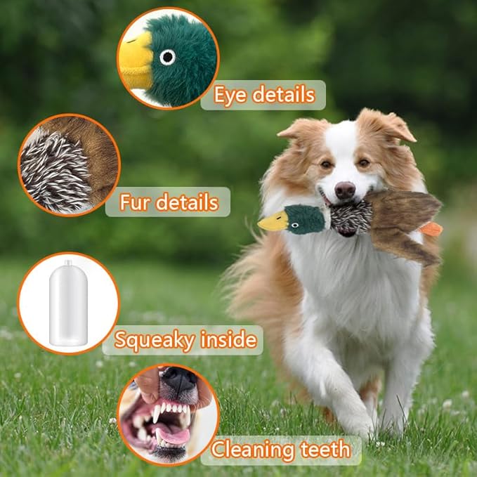 Mallard Dog Toy Squeaky Dog Toys,Wild Duck Interactive Chew Toys Stuffed Teething Toys for Large Medium Small Dog,Mallard Dogs Toys Squeaky Toy to Keep Them Busy (R-2duck)