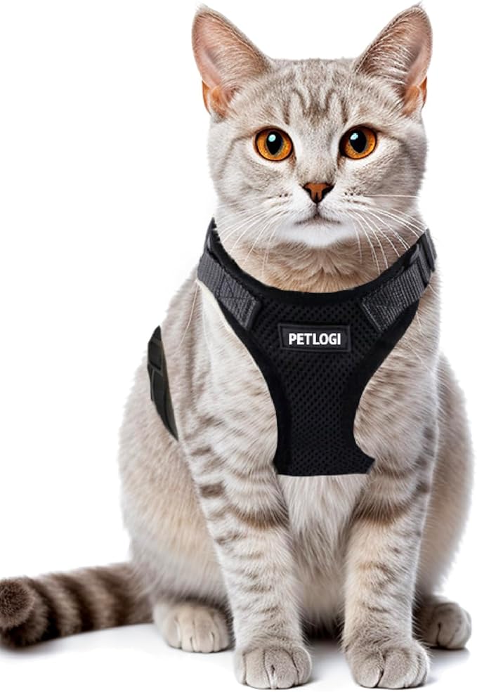 Cat Harness Escape Proof with Leash for Walking, Travel Vest Soft Chest Support, Adjustable Size, Escape Proof Soft Adjustable Vest Harnesses, Breathable, Kittens, Small Dogs (美/背縄/黒2/S)