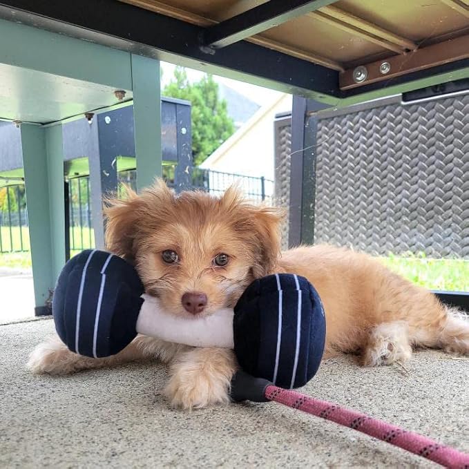 Nestpark Doggy Dumbbell - Funny Dog Toys Fitness Workout Parody Cute Dog Toys (Dumbbell)