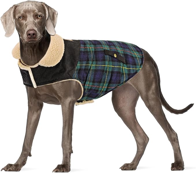 Winter Coat for Small and Medium Dogs, Puppy Plaid Jacket, Cotton Coat for Cold Weather, Windproof Warm Dog Garments, Pet Thickened Outfits Indoor Outdoor, Green L