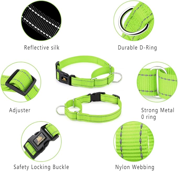 Plutus Pet Reflective Martingale Collar with Buckle - Durable and Adjustable Training Collar for No Pulling, Dog Choker Collar for Small Medium Large Dogs, Bright Green, S
